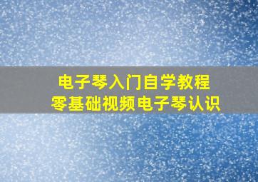 电子琴入门自学教程 零基础视频电子琴认识